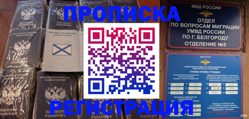 прописка гарантия в Медногорске